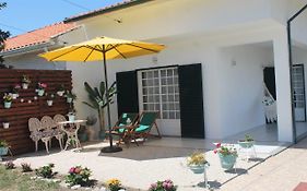 Casa Das Camelias